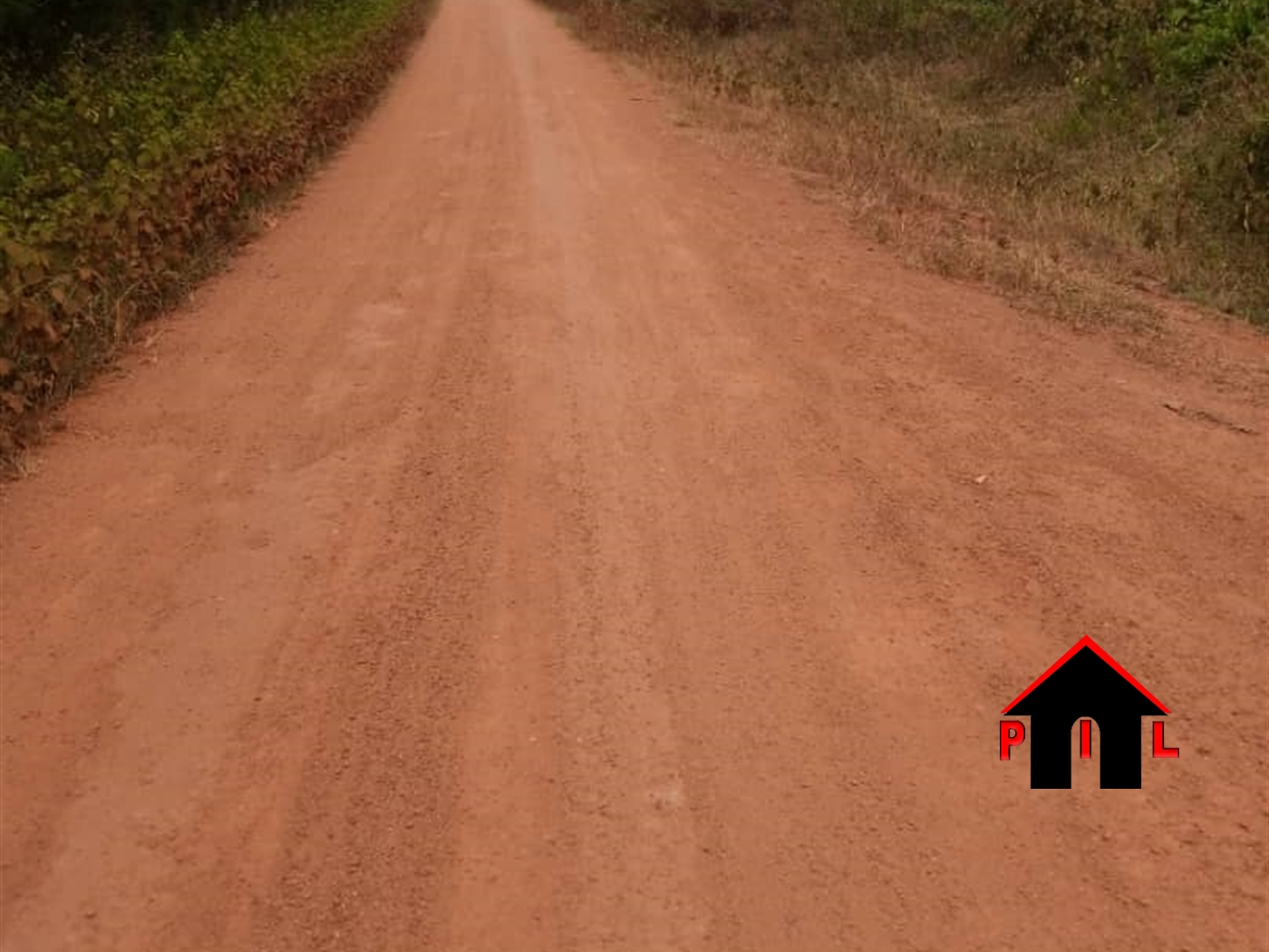 Agricultural Land for sale in Ntuusi Sembabule