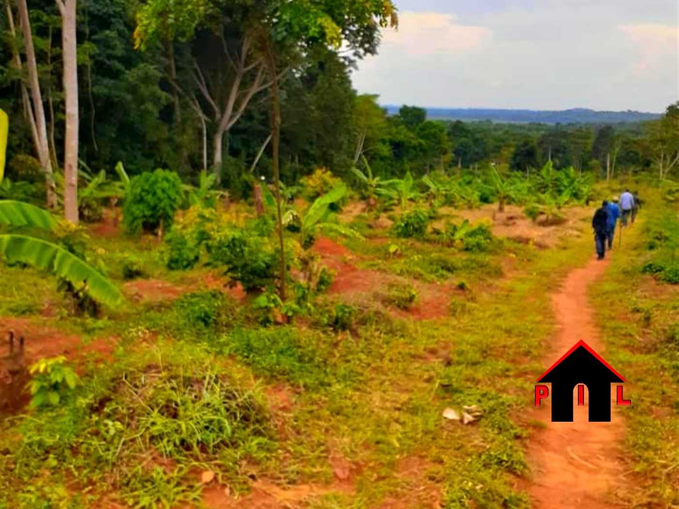 Commercial Land for sale in Buzzi Wakiso