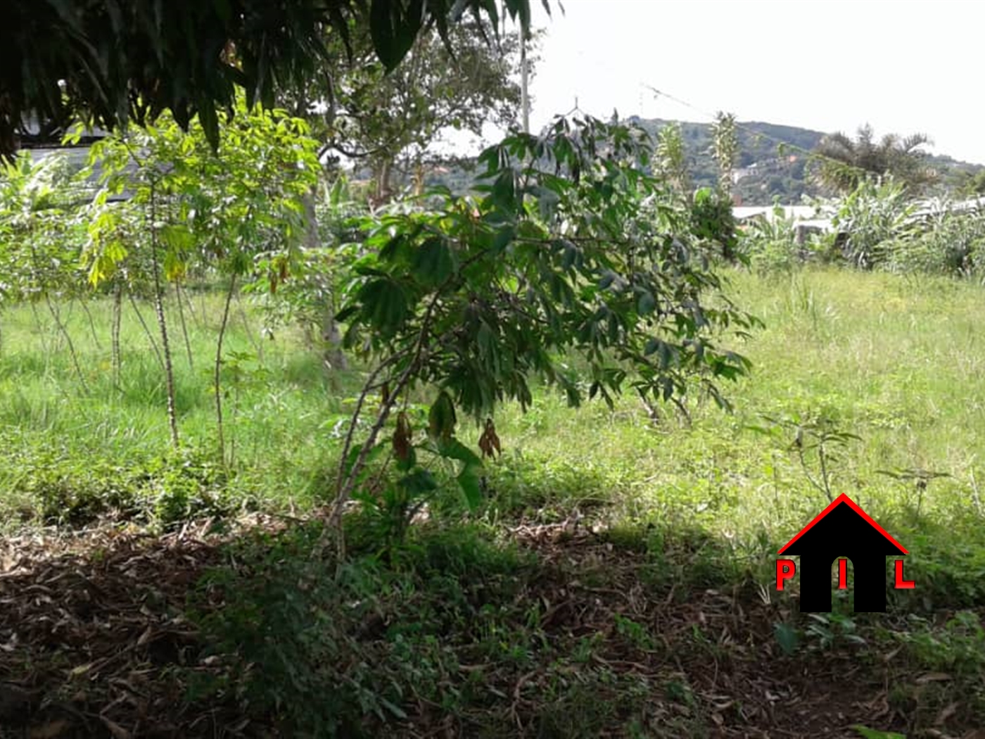 Agricultural Land for sale in Nkokonjeru Luweero