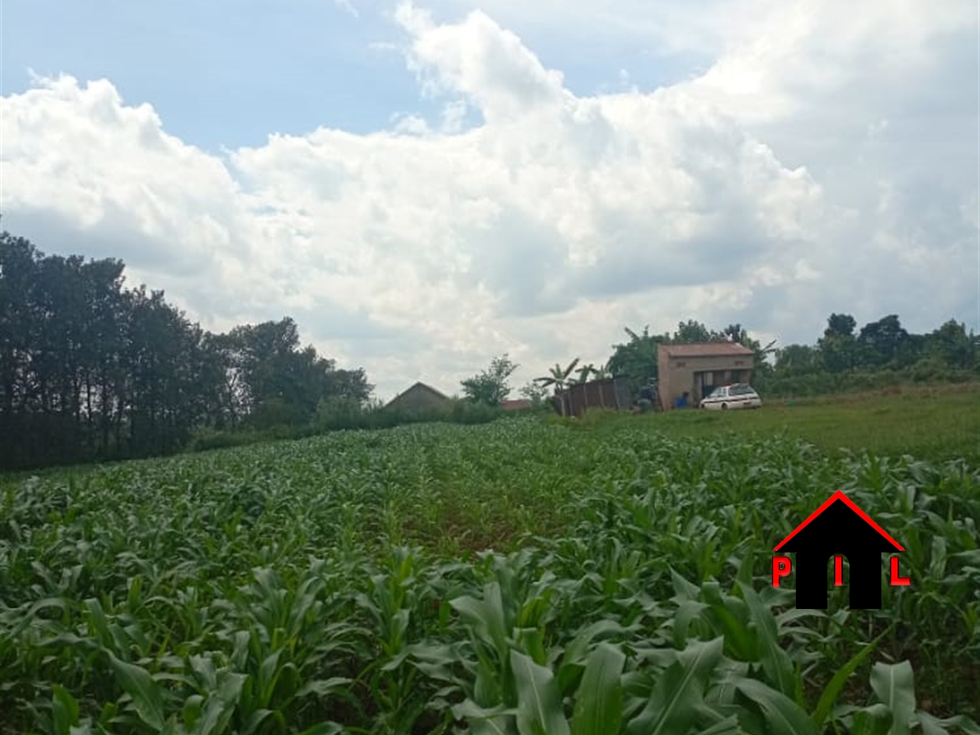 Agricultural Land for sale in Namigavu Mityana