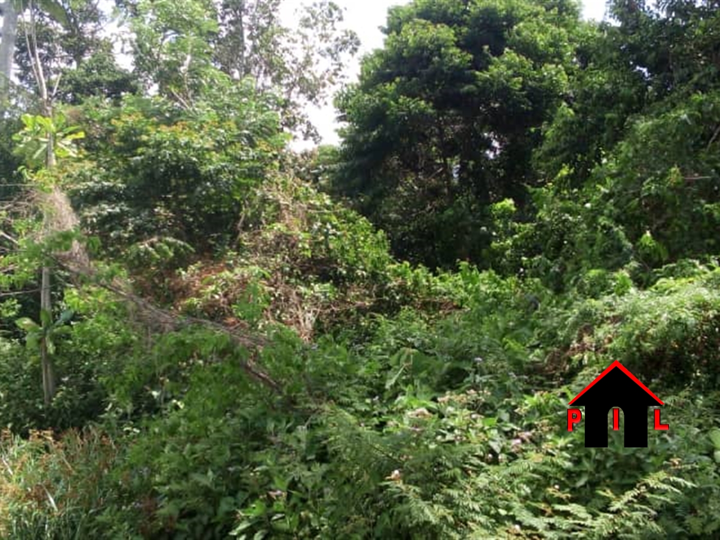 Agricultural Land for sale in Bukola Mityana