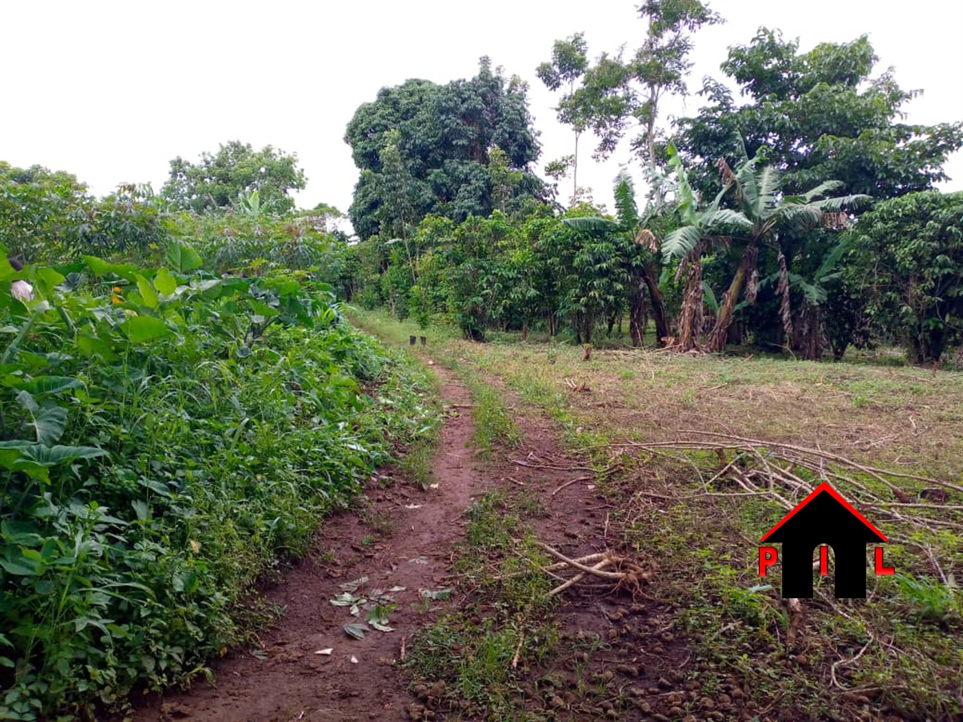 Agricultural Land for sale in Bukola Mityana