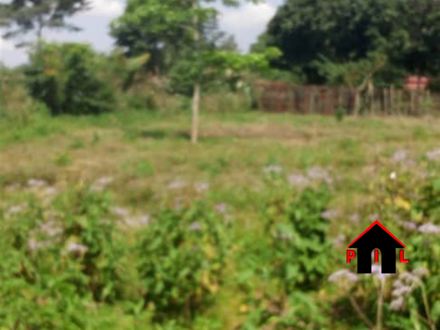 Agricultural Land for sale in Nalutundu Mityana