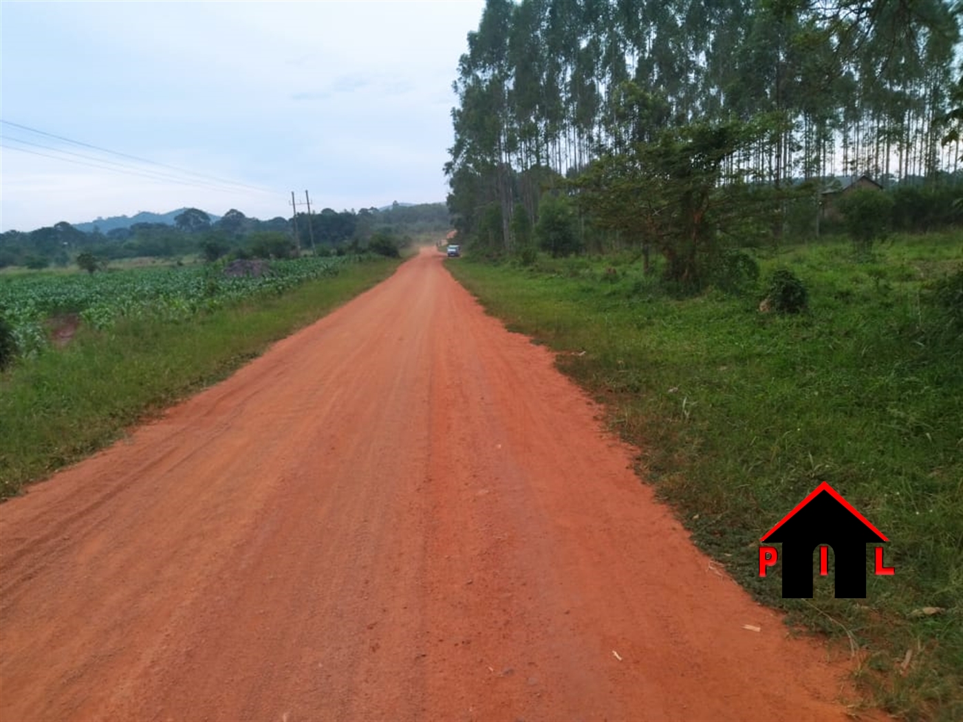 Agricultural Land for sale in Kasana Luweero