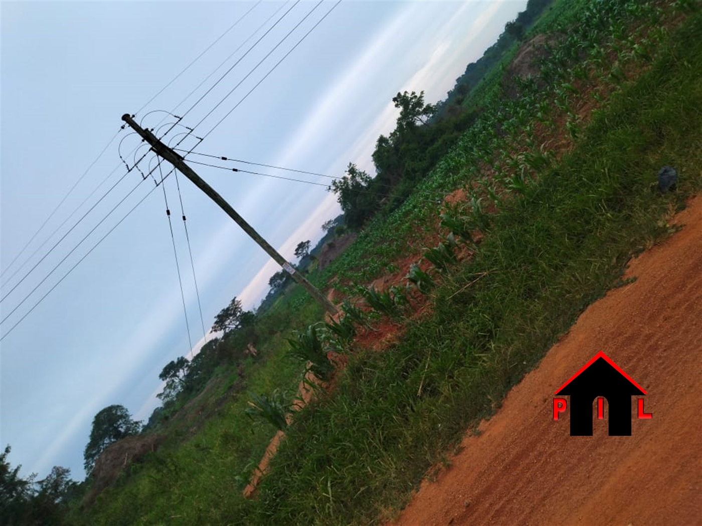 Agricultural Land for sale in Kasana Luweero