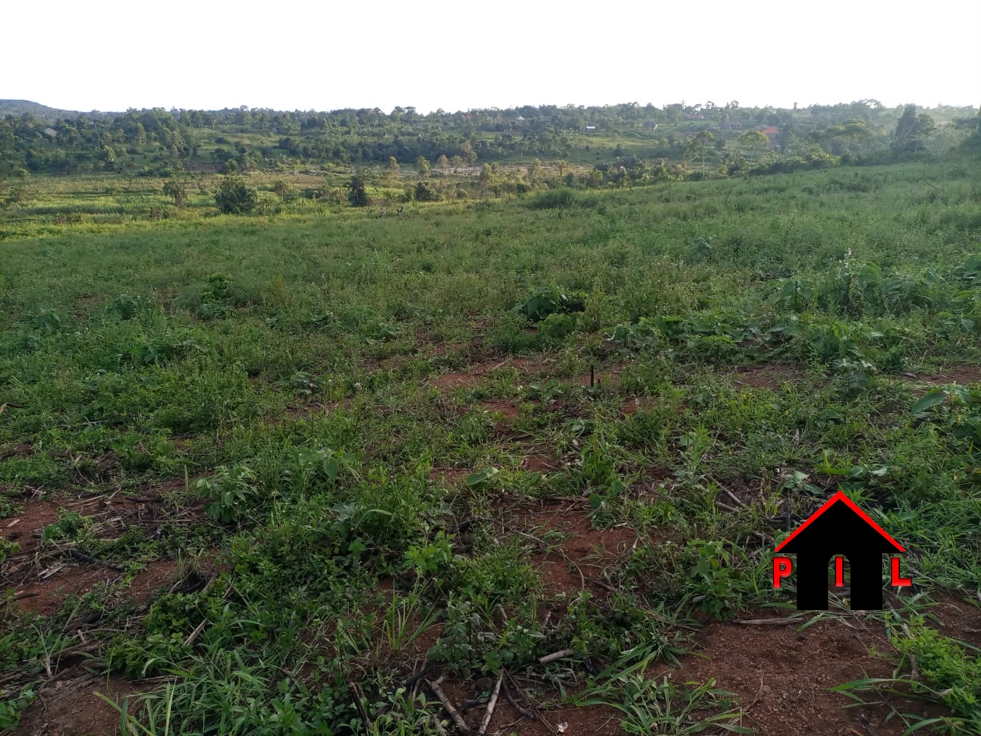 Residential Land for sale in Namayiba Mukono