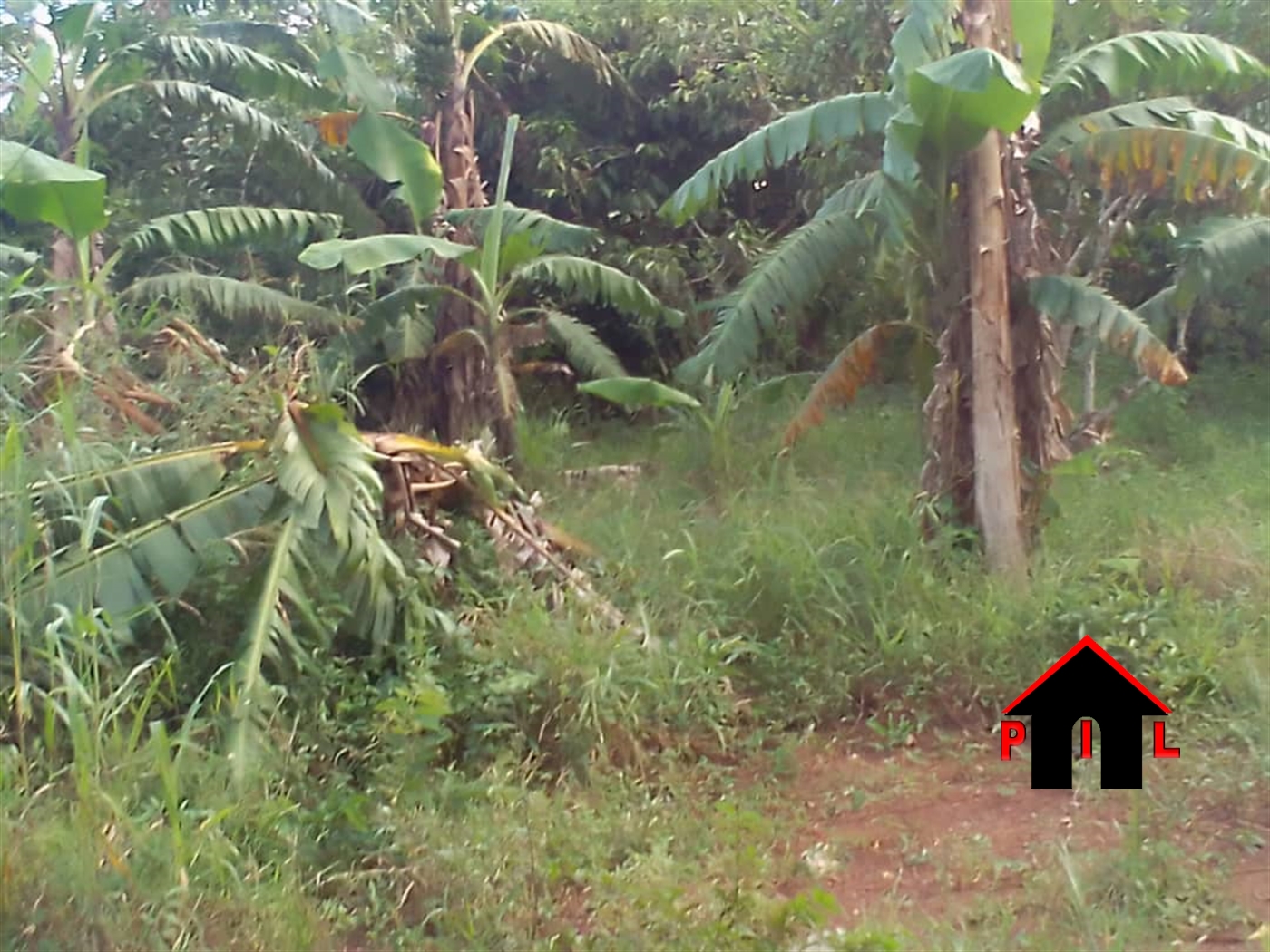 Residential Land for sale in Nalongo Luweero