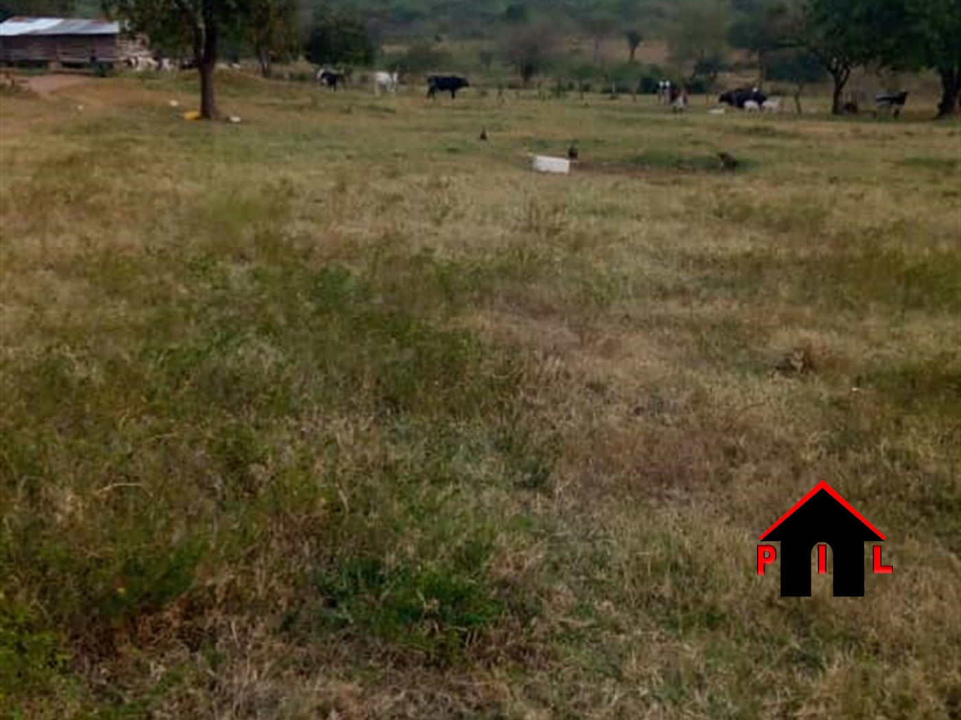 Commercial Land for sale in Buseruka Hoima