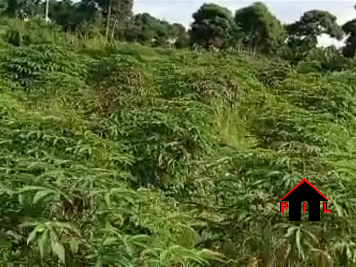 Agricultural Land for sale in Nkokonjeru Buyikwe