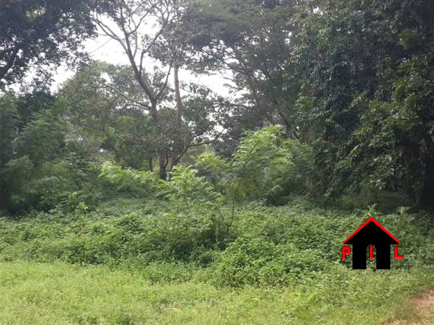 Agricultural Land for sale in Nkokonjeru Buyikwe