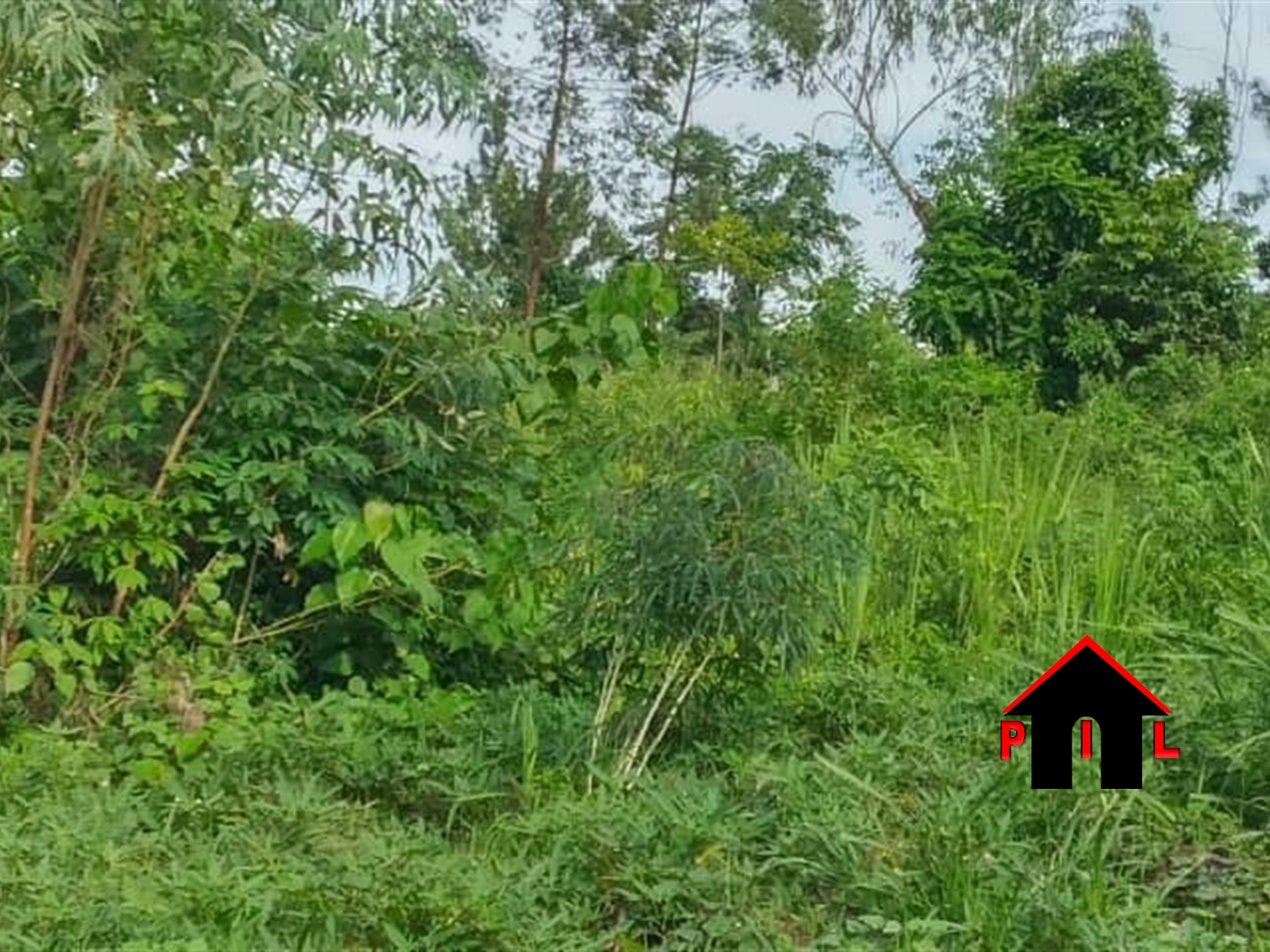 Agricultural Land for sale in Nkokonjeru Buyikwe