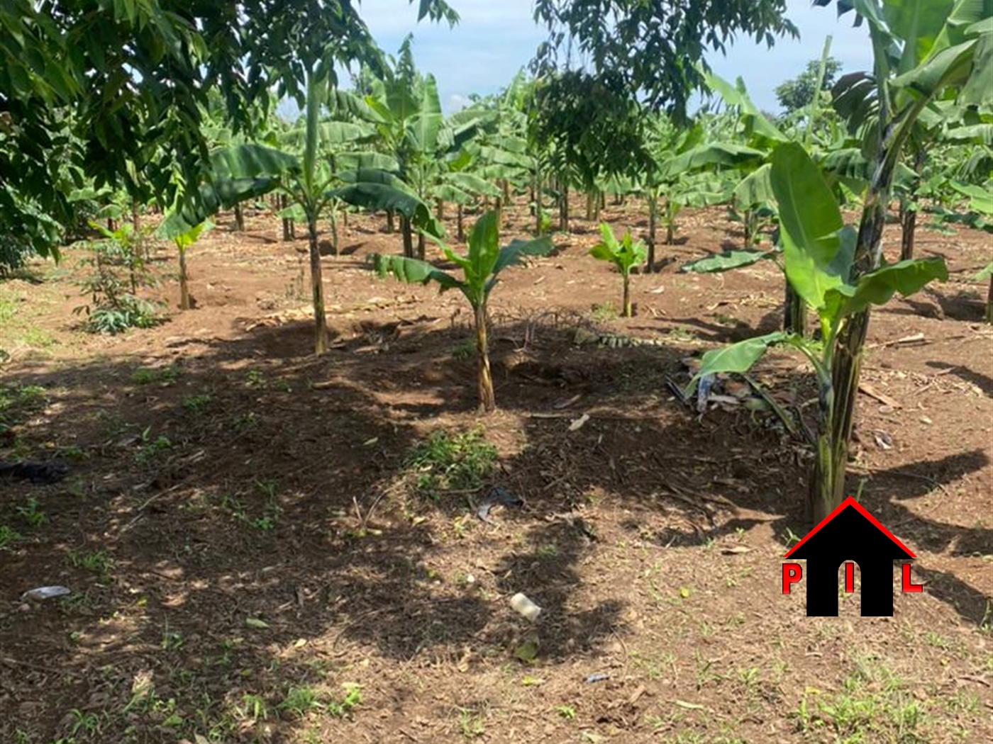 Agricultural Land for sale in Busiika Luweero