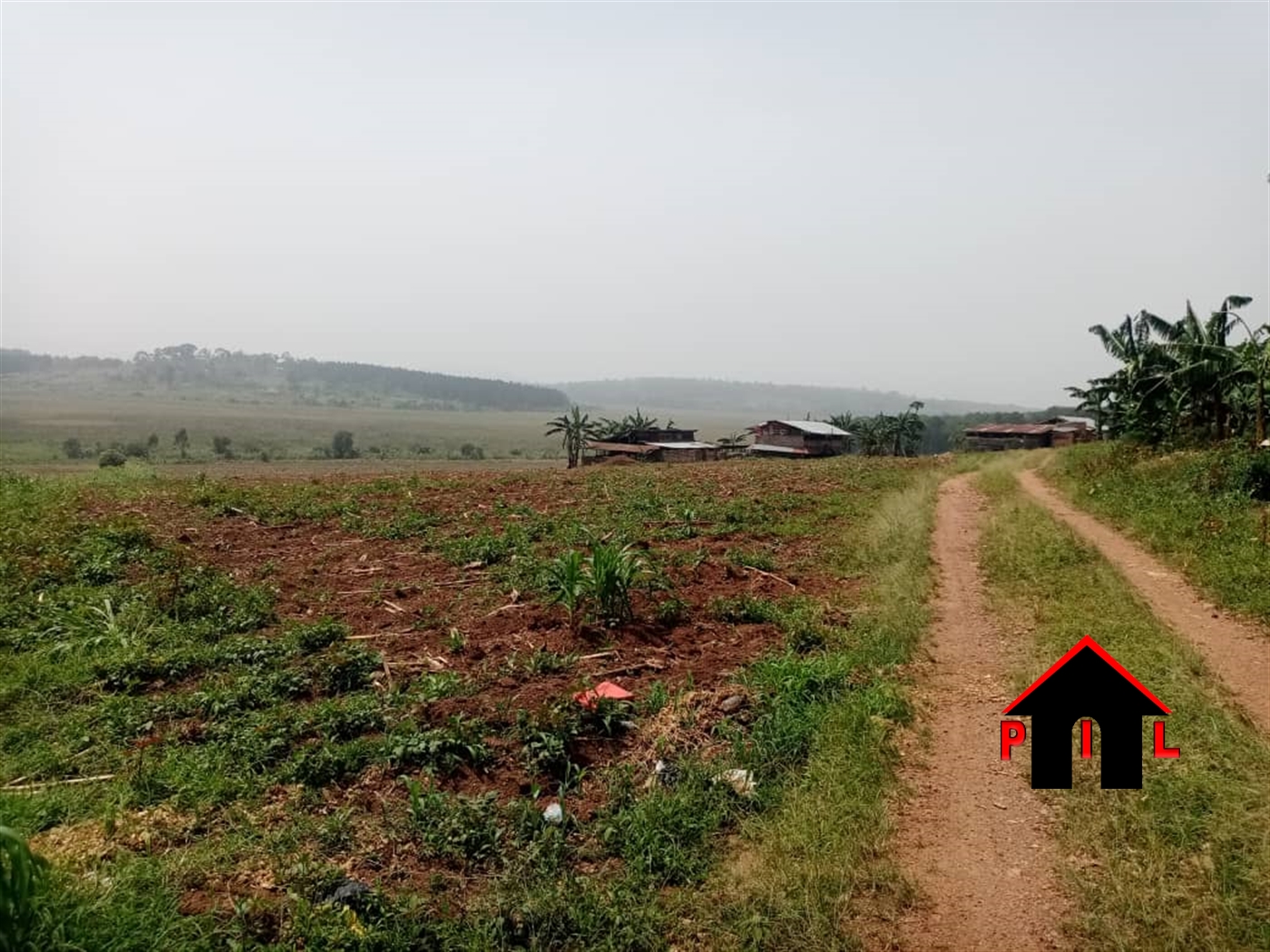 Agricultural Land for sale in Bumba Luweero