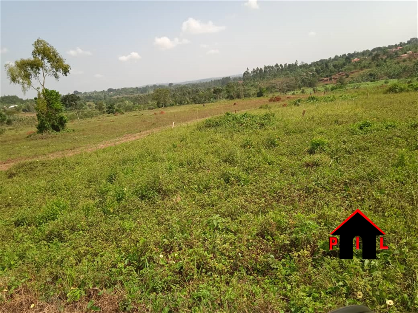 Residential Land for sale in Busukuma Wakiso