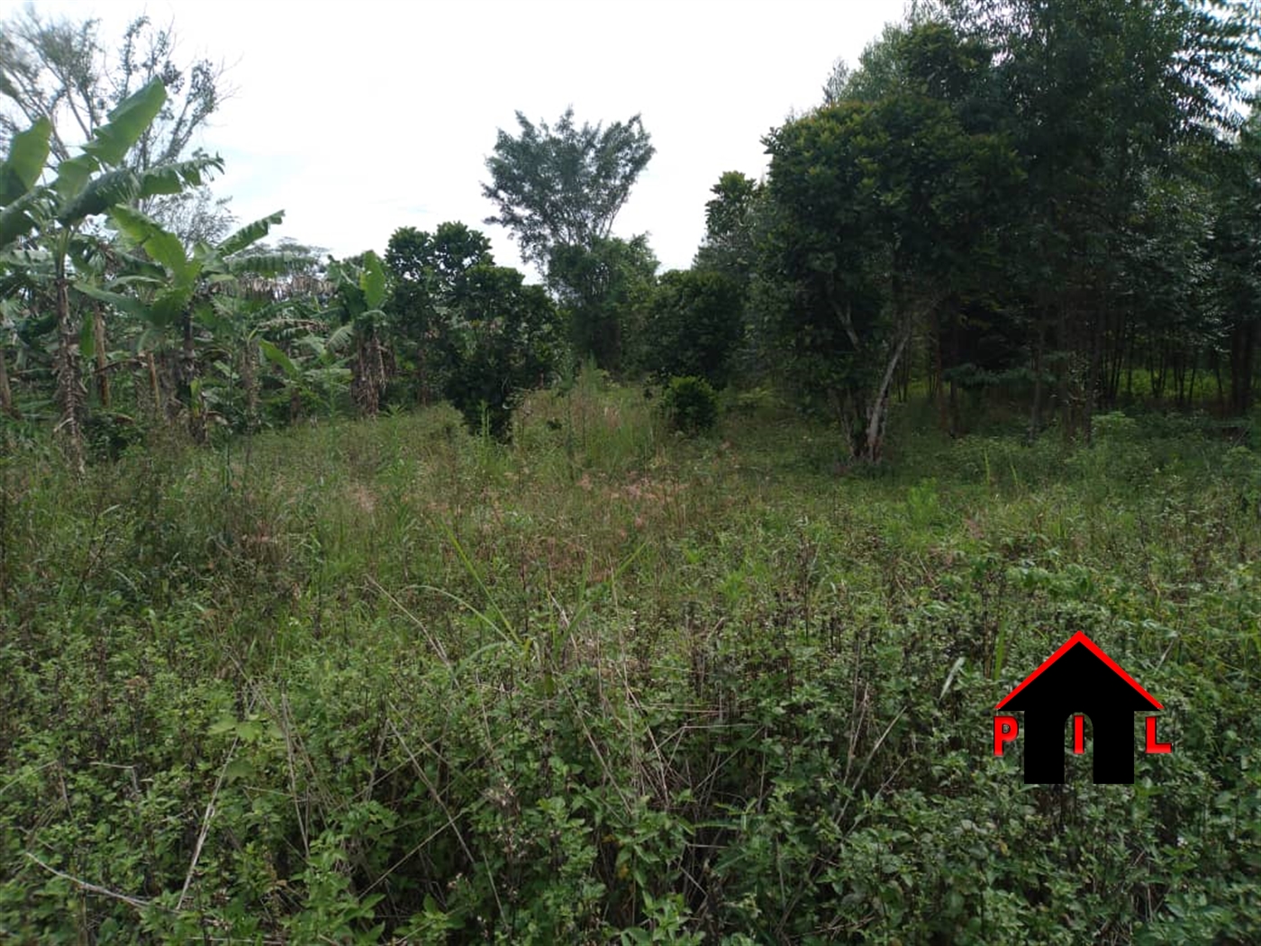 Agricultural Land for sale in Ziloobwe Luweero