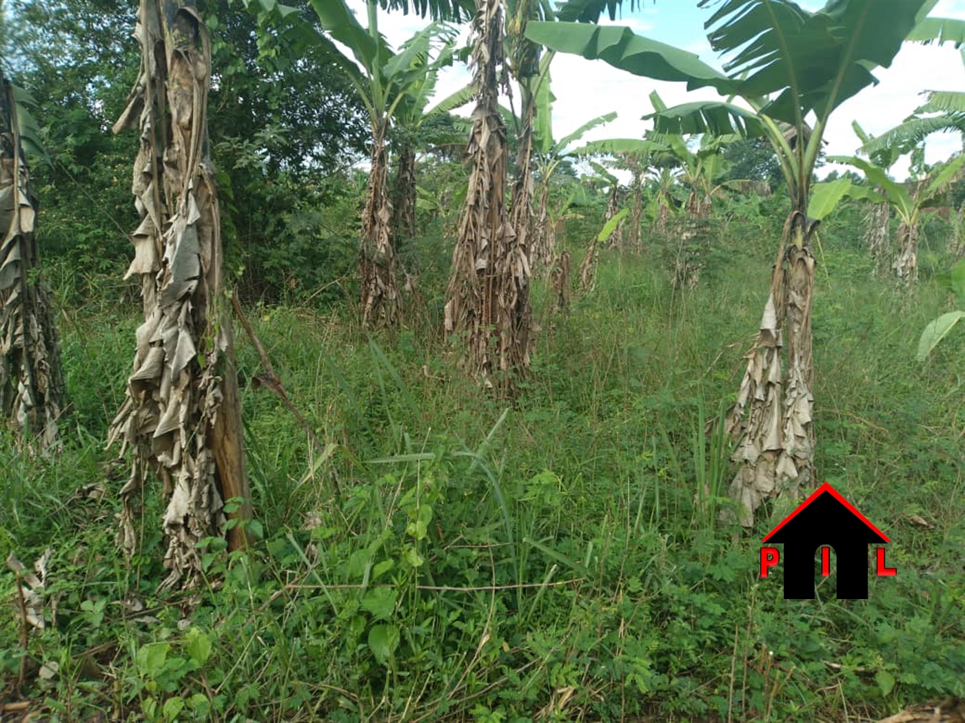 Residential Land for sale in Busiika Wakiso