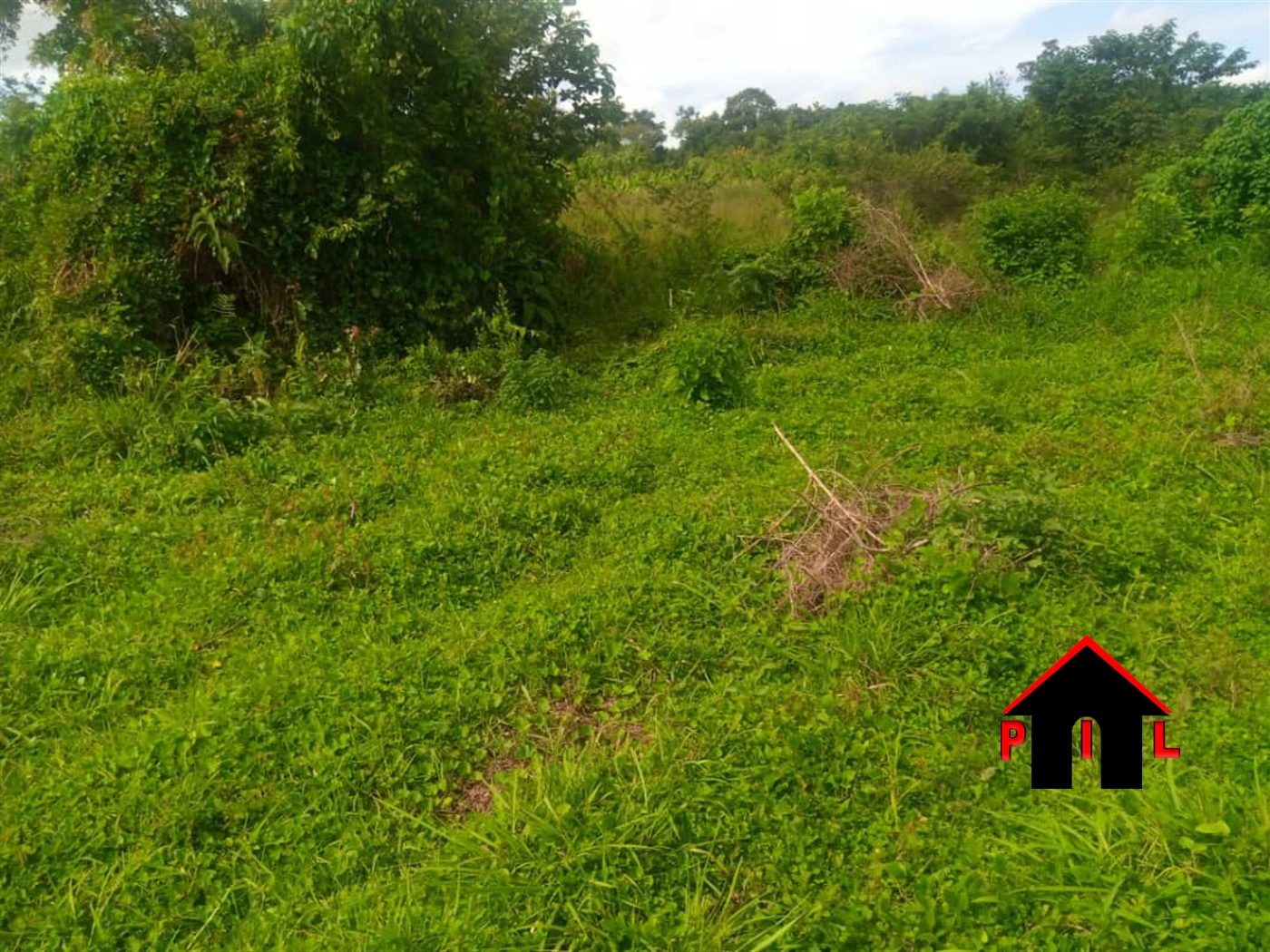 Agricultural Land for sale in Kikyuusa Luweero