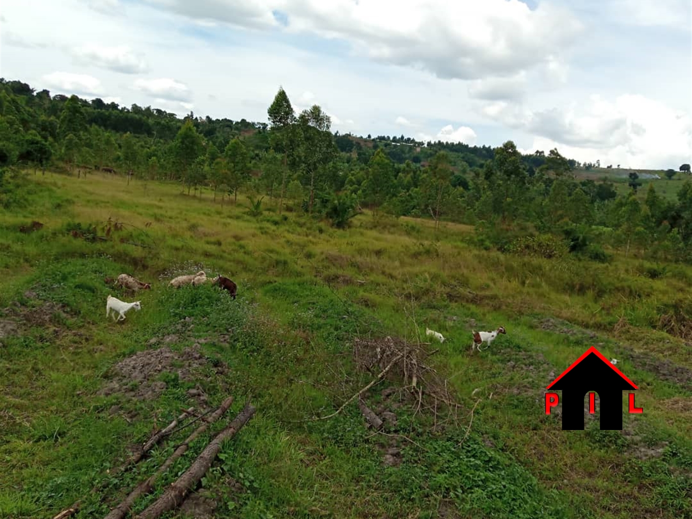 Agricultural Land for sale in Kasenselo Wakiso