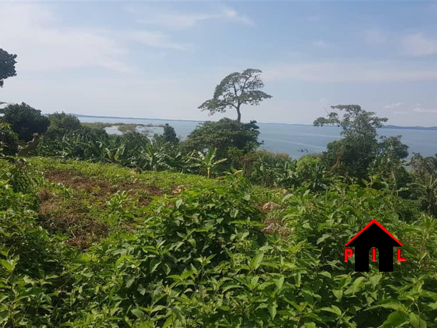 Agricultural Land for sale in Ssese Kalangala