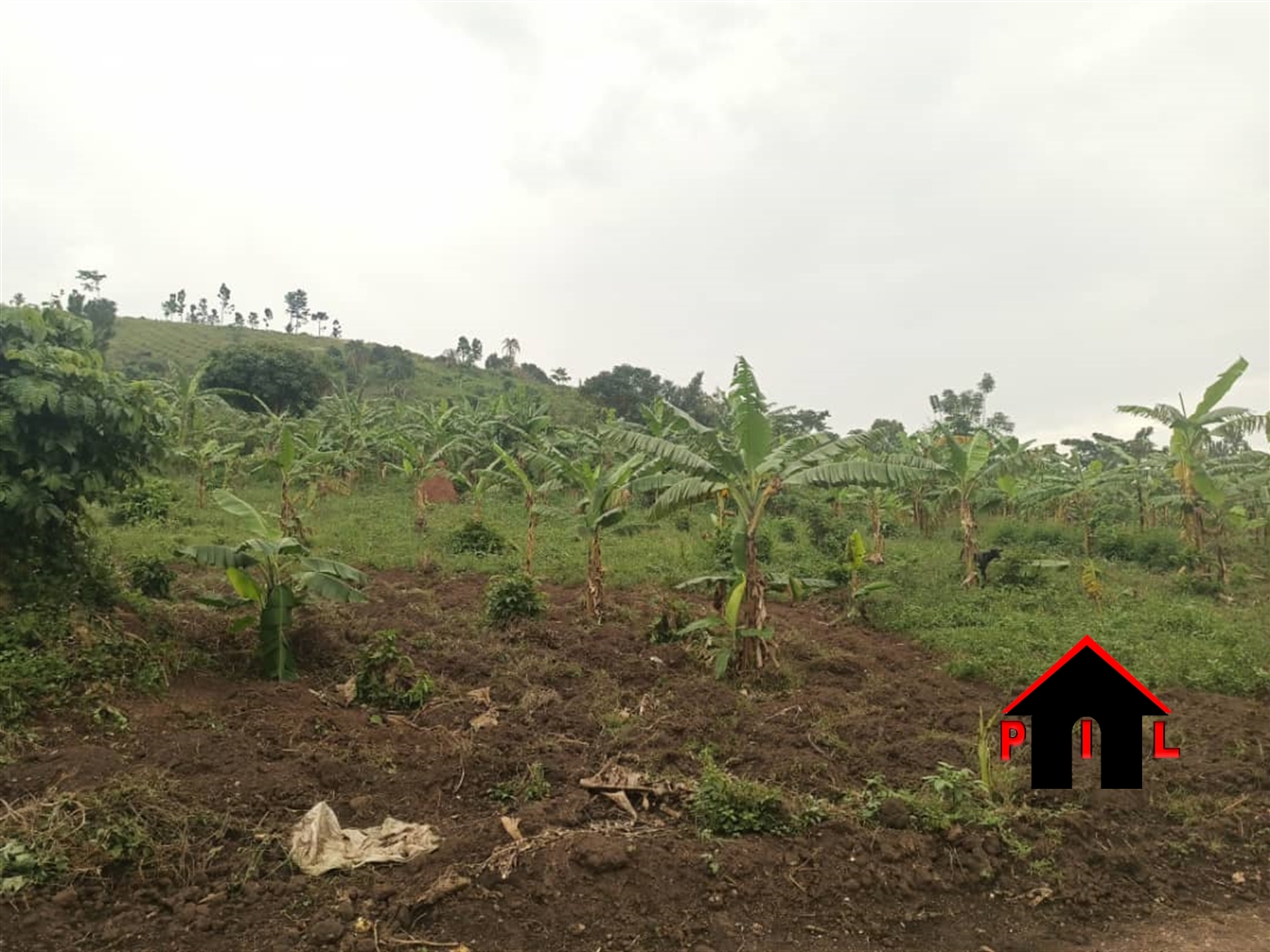 Agricultural Land for sale in Cannan Wakiso