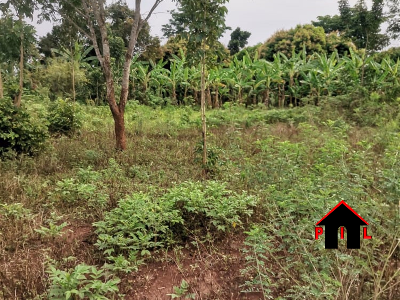 Agricultural Land for sale in Kalagala Luwero