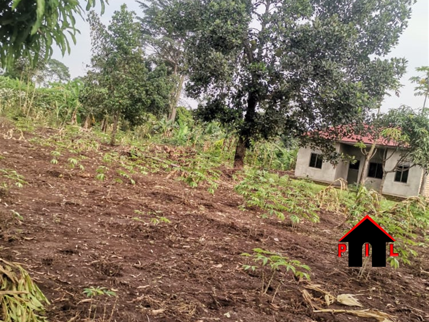 Agricultural Land for sale in Kalagala Luwero