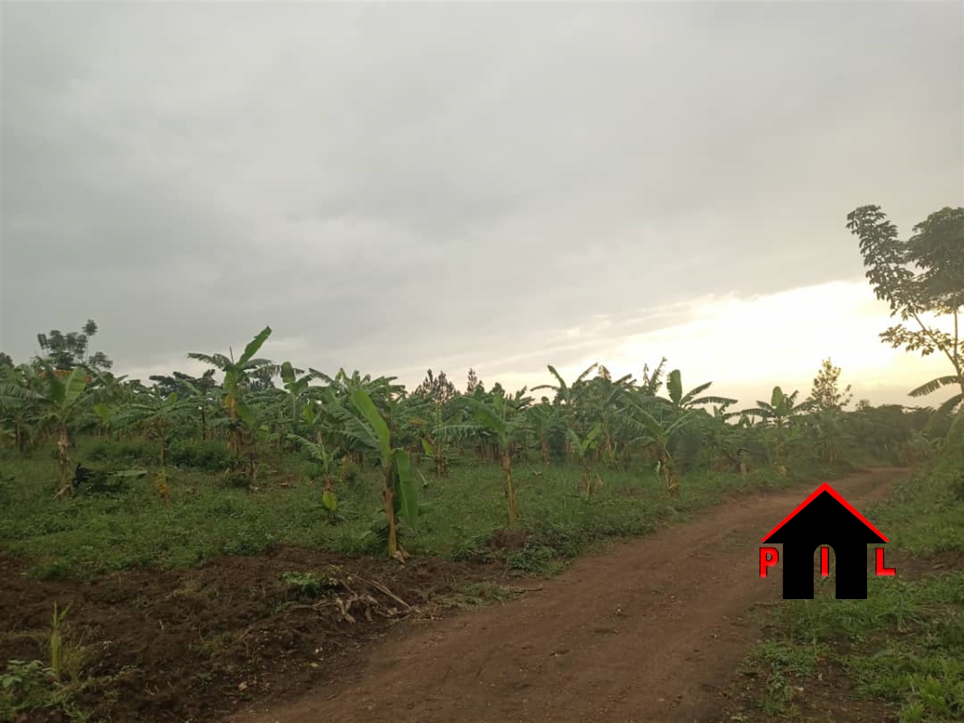 Agricultural Land for sale in Kalagala Wakiso