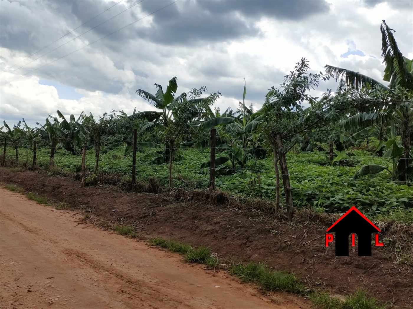 Agricultural Land for sale in Namayumba Wakiso