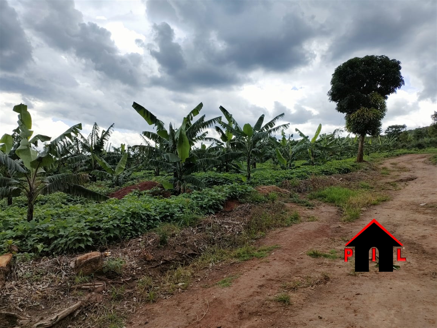 Agricultural Land for sale in Namayumba Wakiso