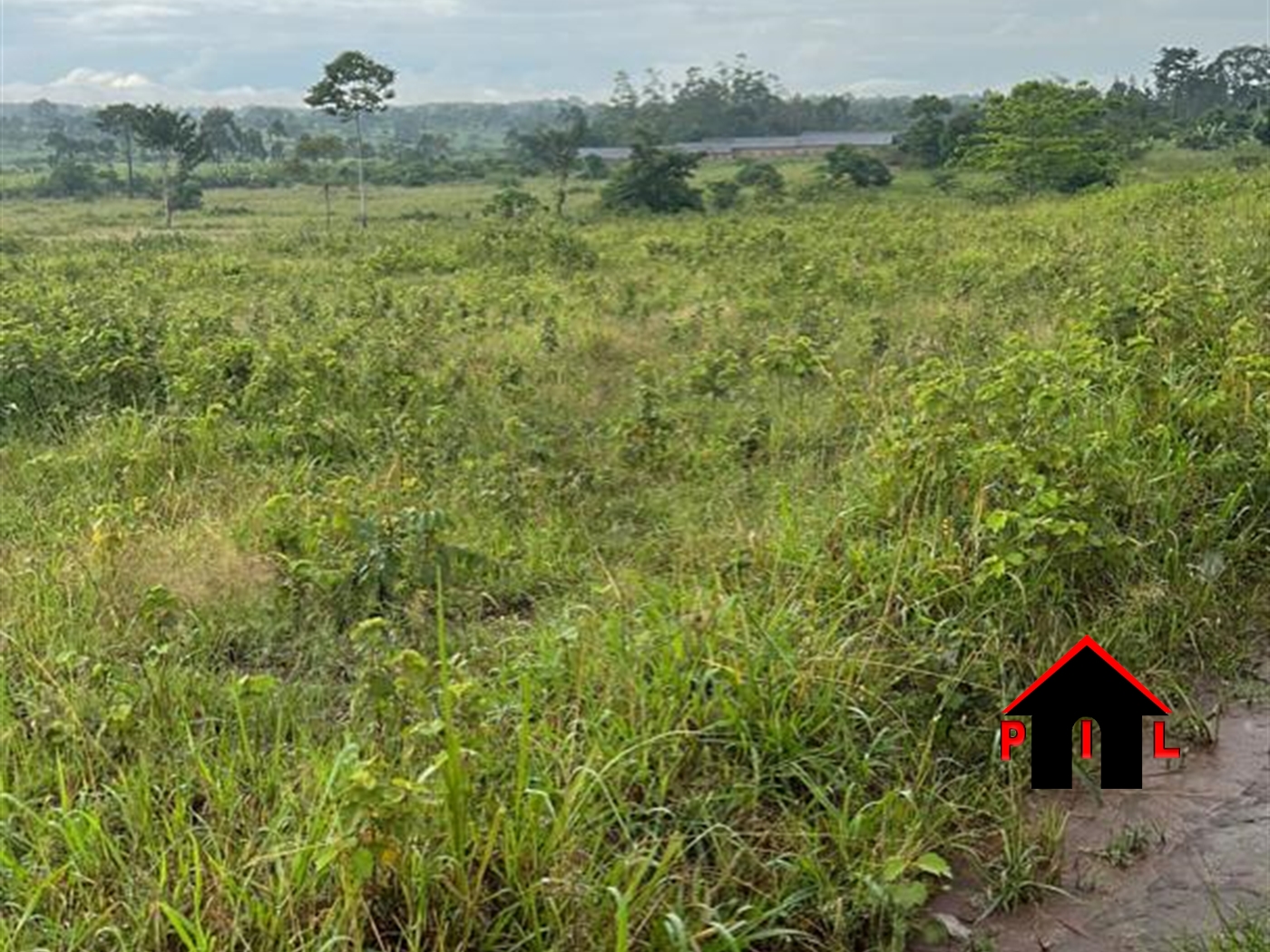 Agricultural Land for sale in Nakifuma Mukono