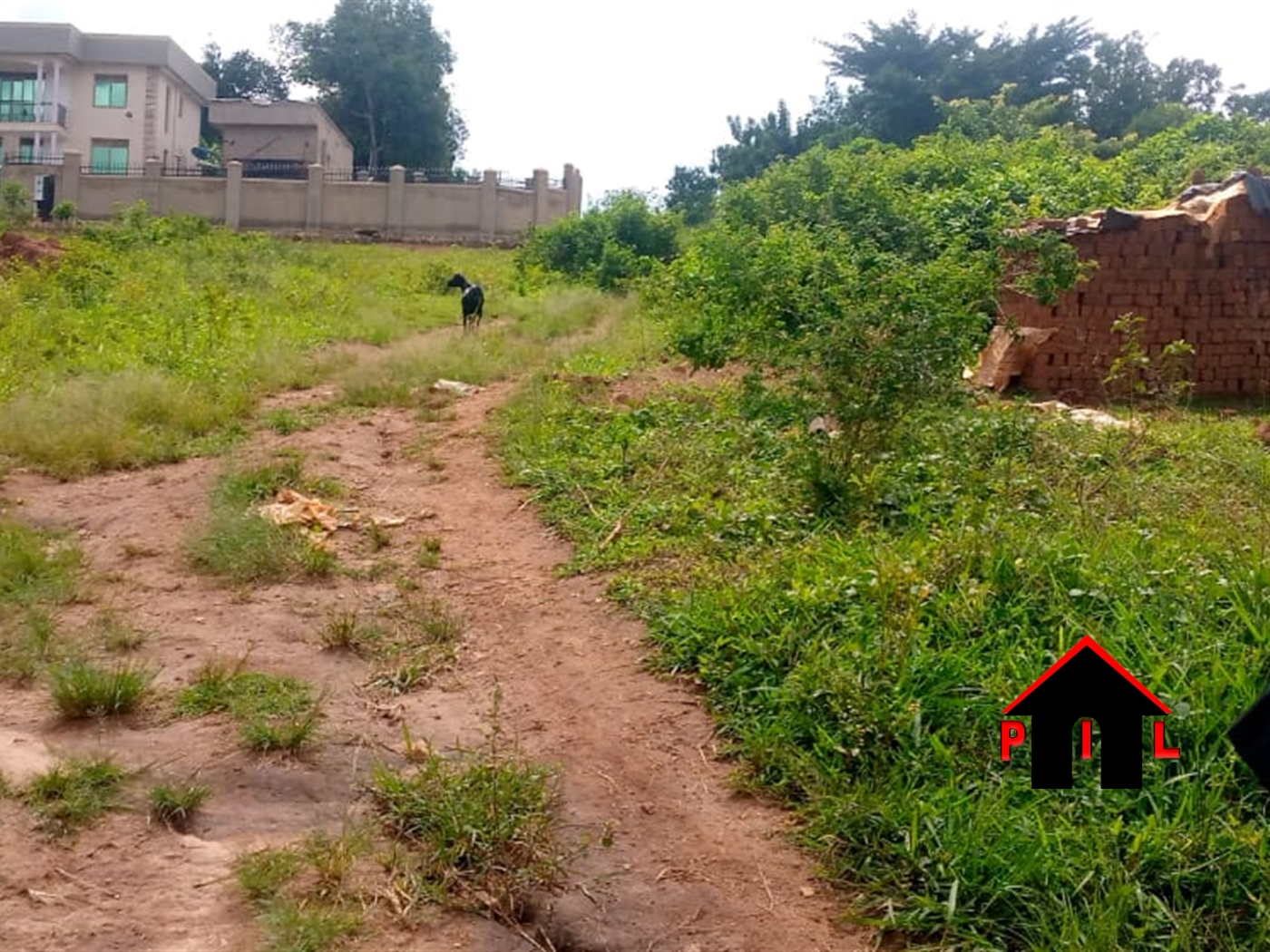 Residential Land for sale in Ddundu Wakiso