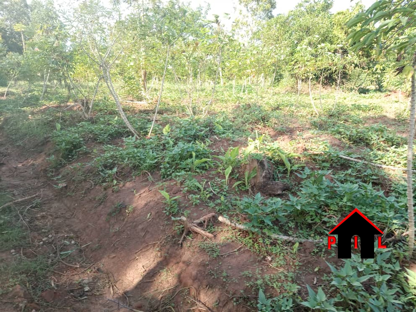 Residential Land for sale in Bukeelele Wakiso