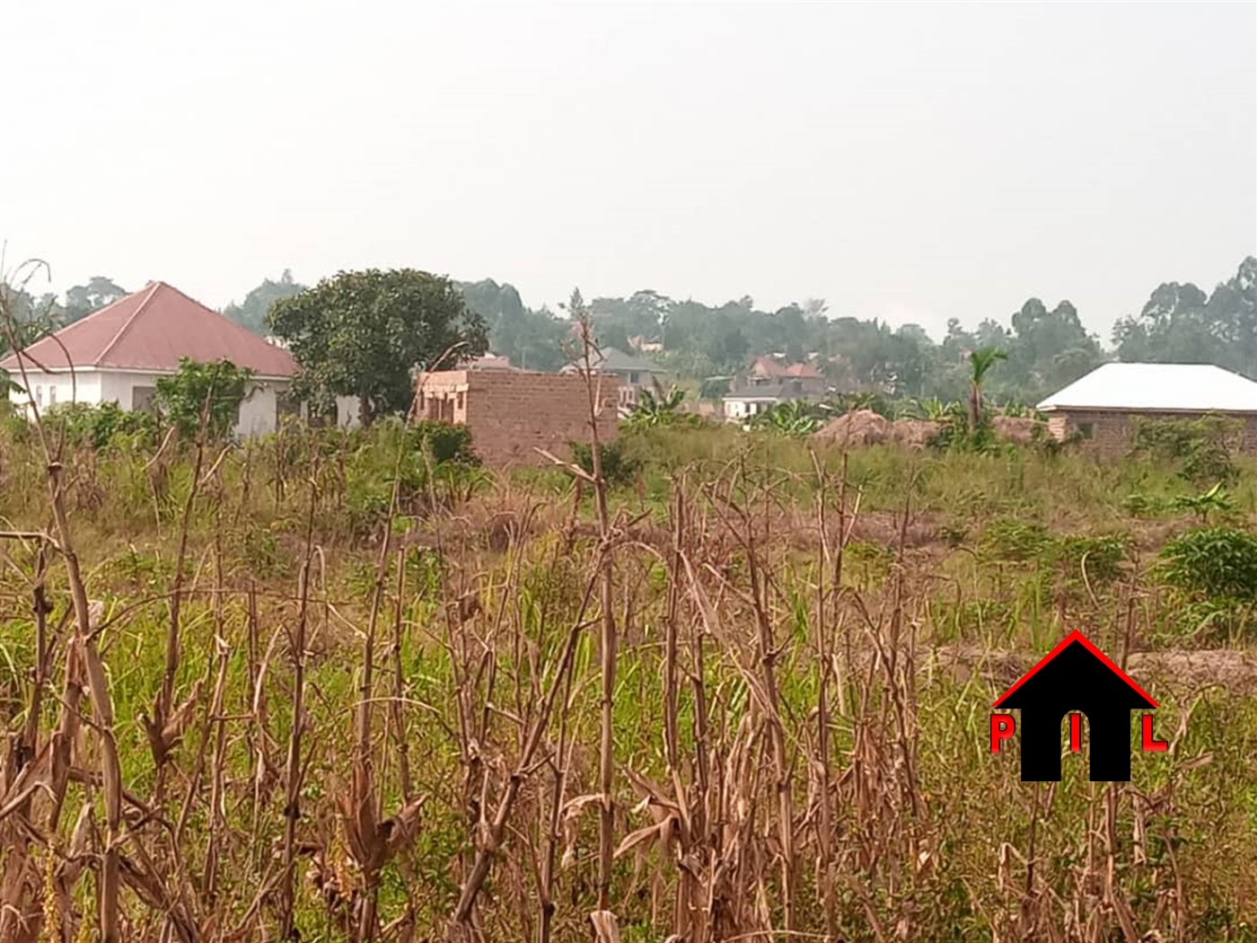 Residential Land for sale in Kirowooza Mukono