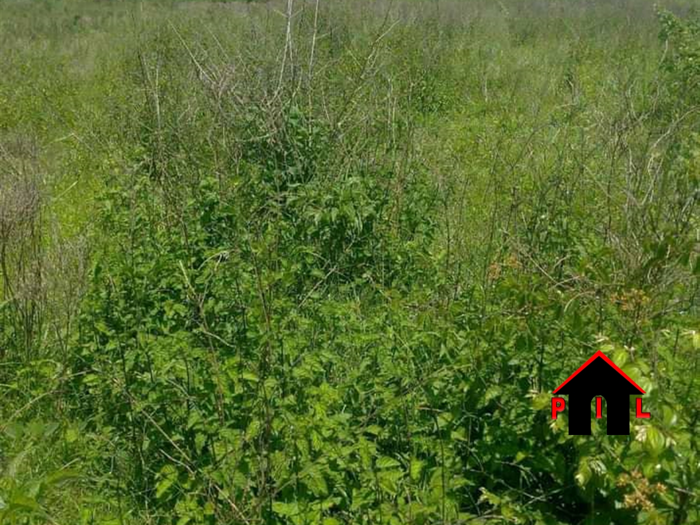 Agricultural Land for sale in Mijera Nakasongola