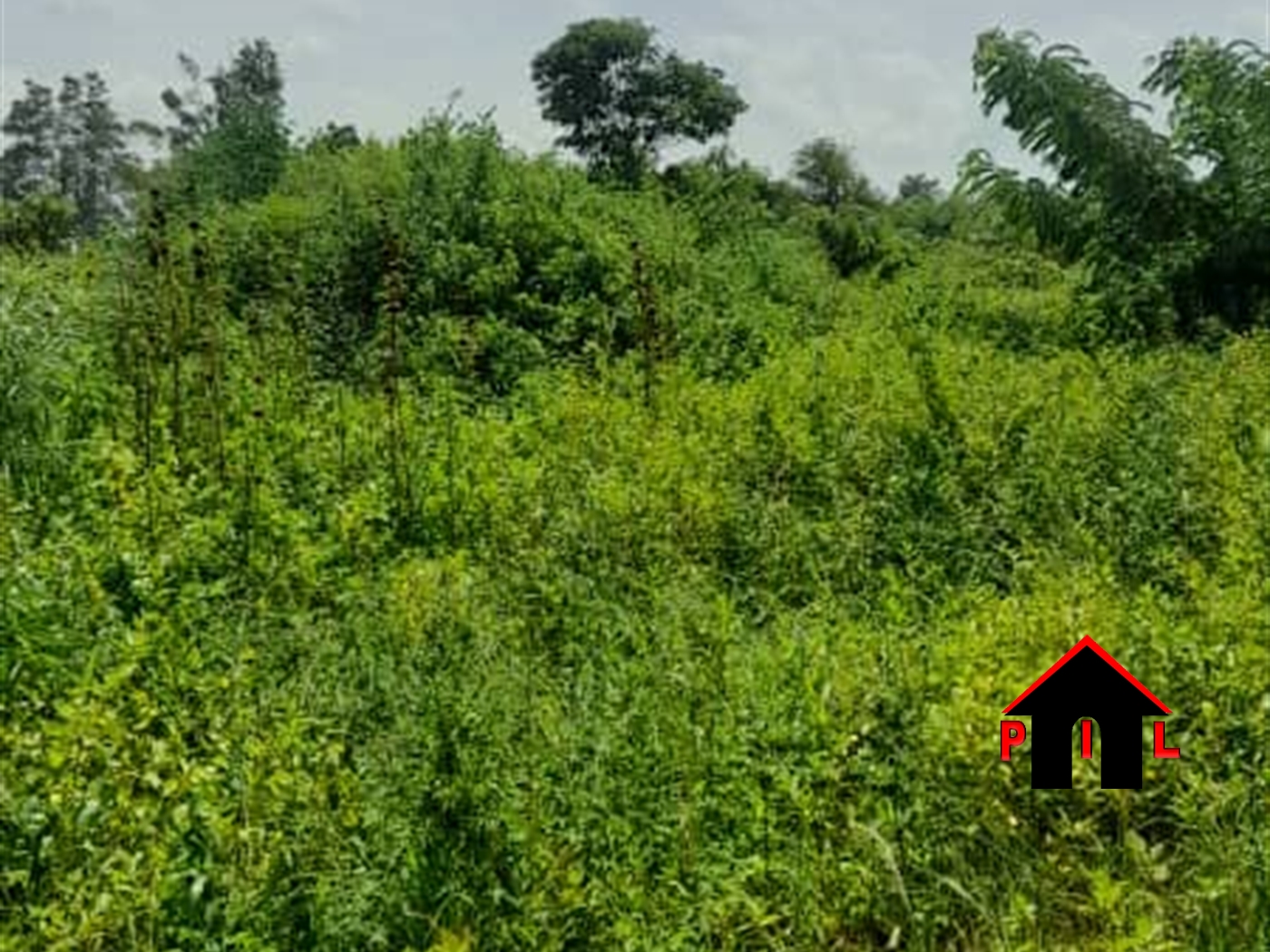 Residential Land for sale in Nalubudde Wakiso