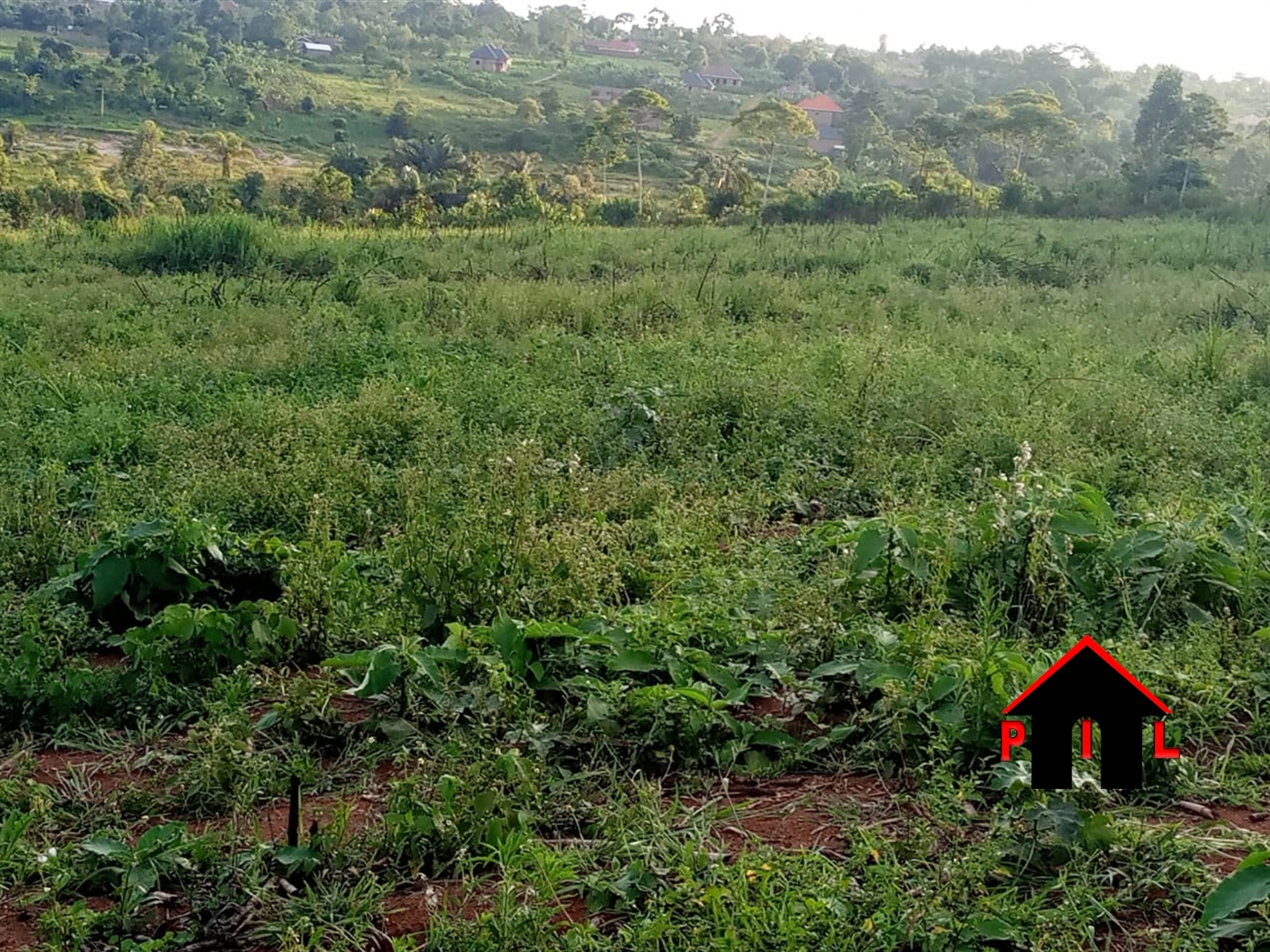 Agricultural Land for sale in Namayuba Mukono