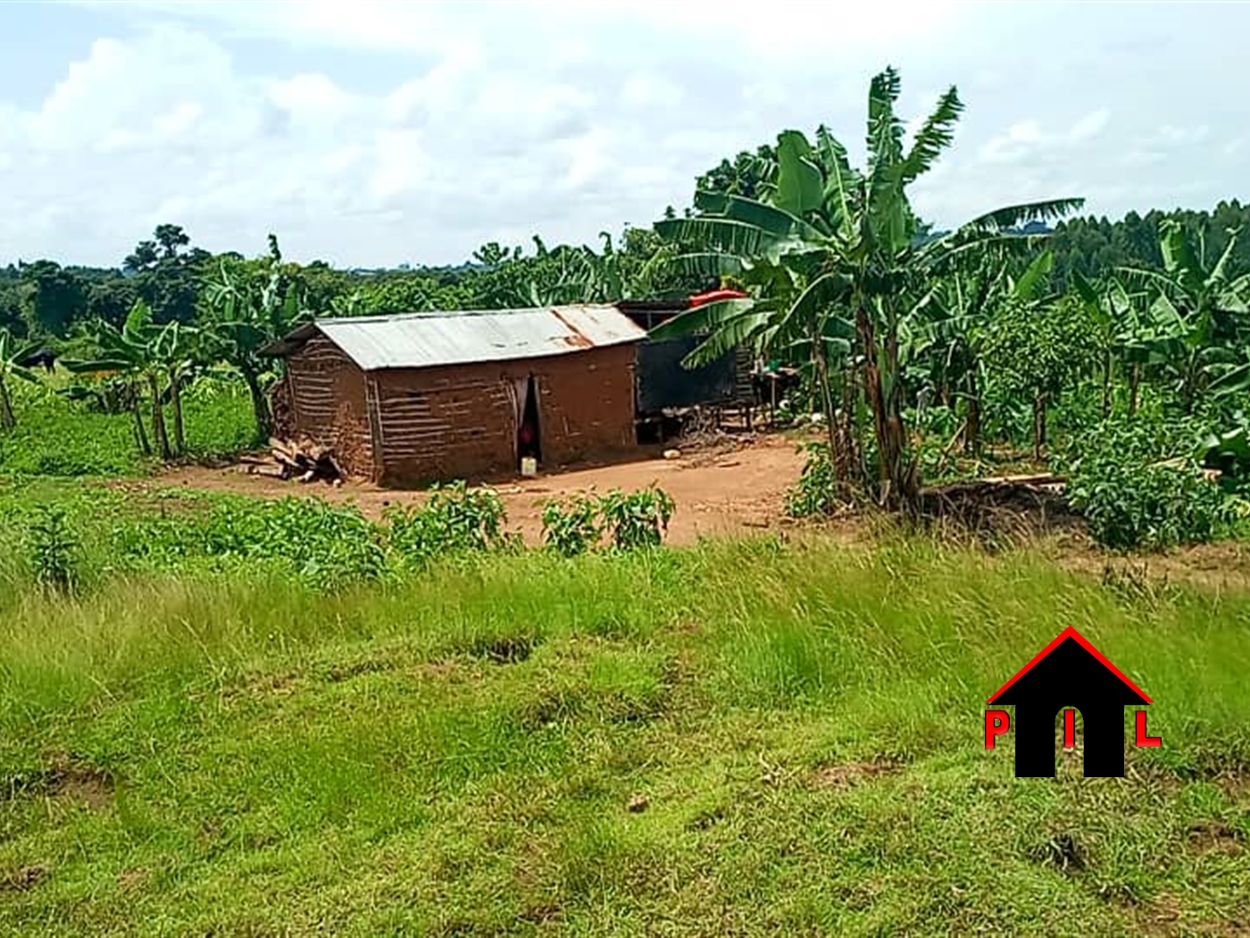 Agricultural Land for sale in Butalangu Nakaseke