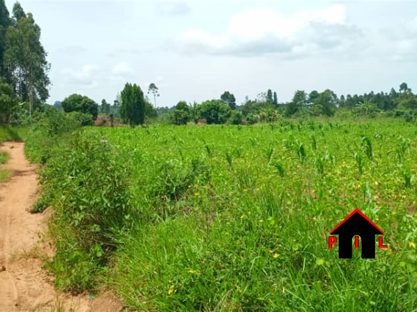 Agricultural Land for sale in Butalangu Nakaseke