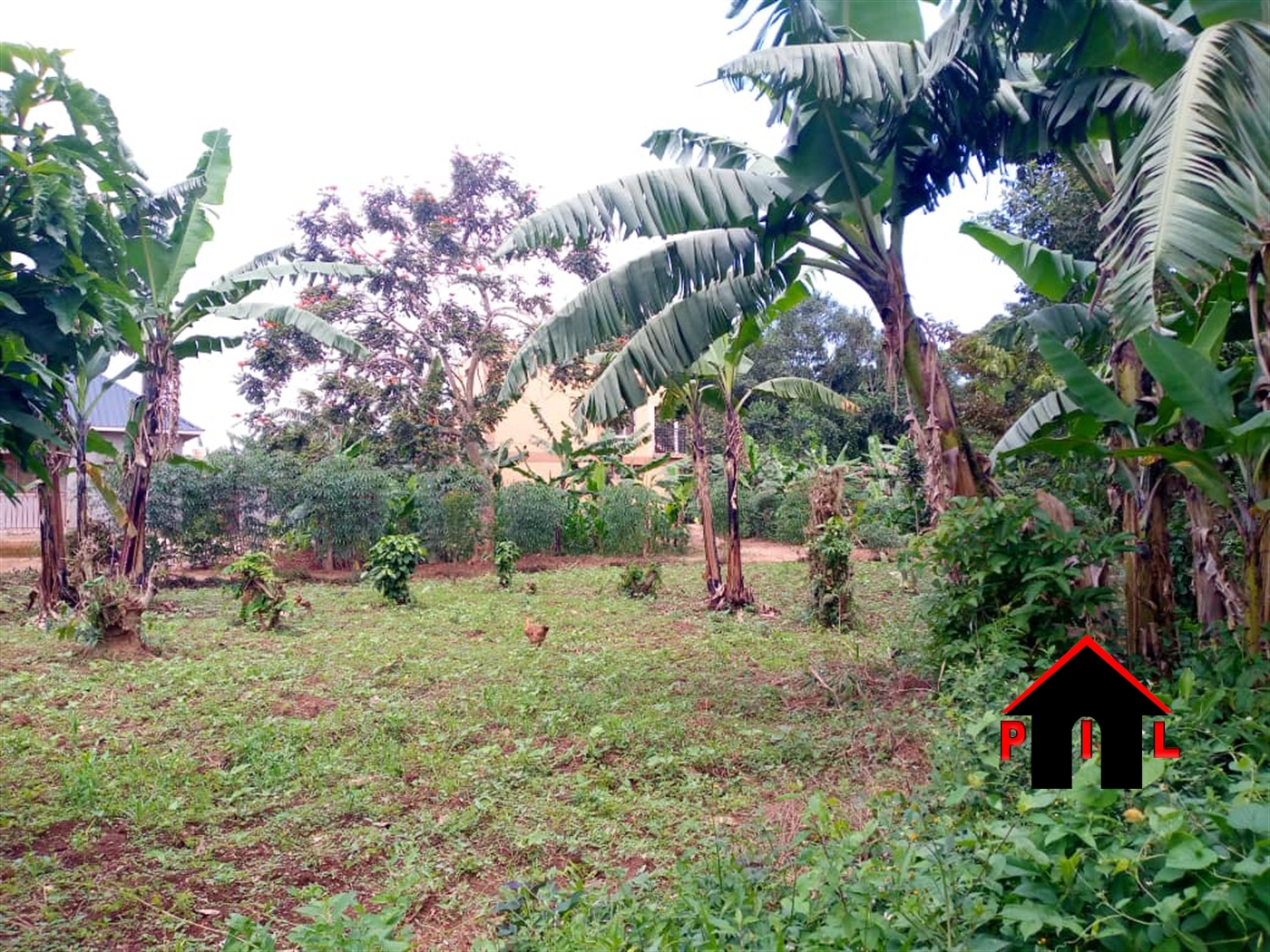 Residential Land for sale in Namugongo Wakiso