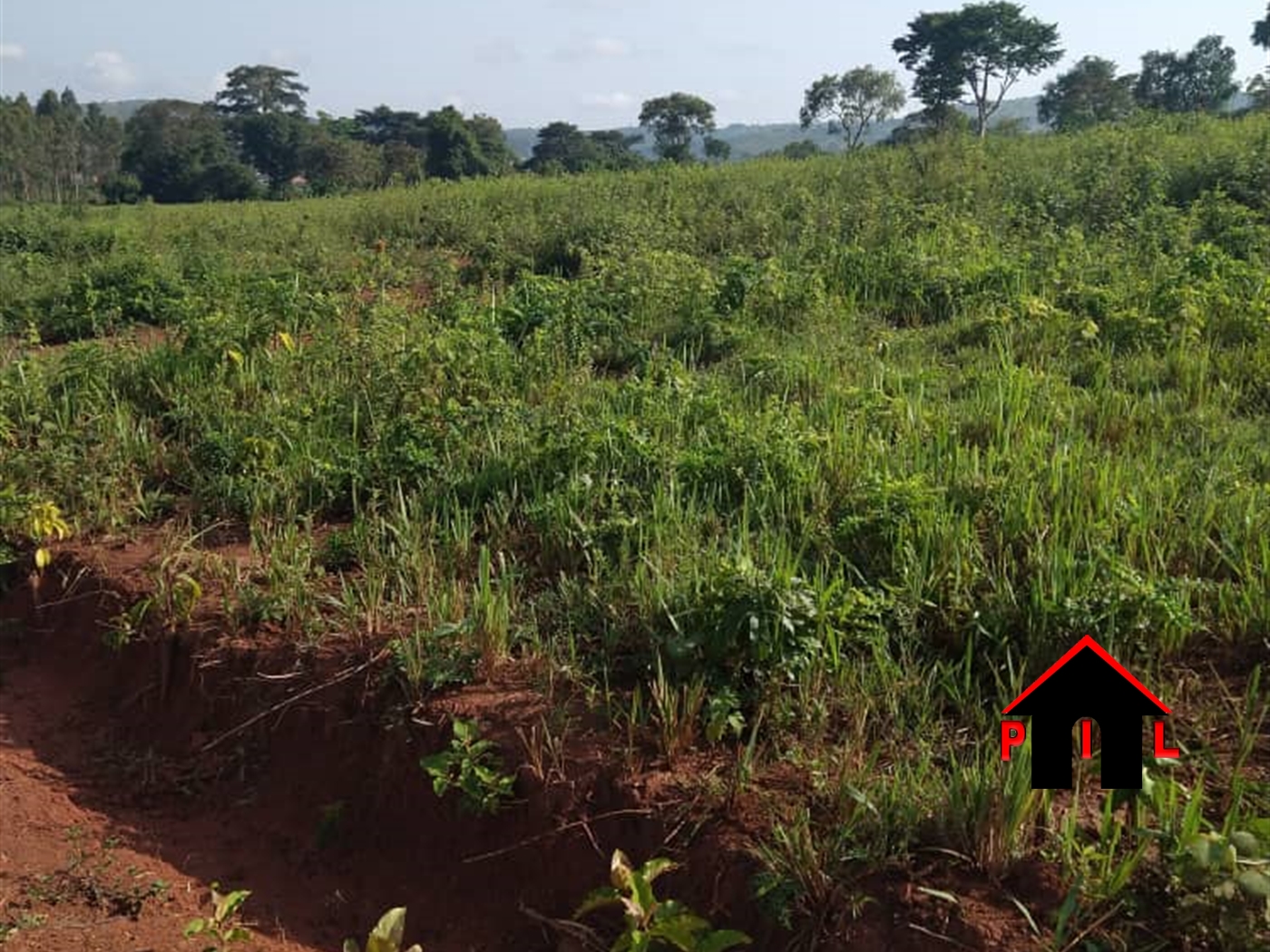 Agricultural Land for sale in Nakonge Nakaseke