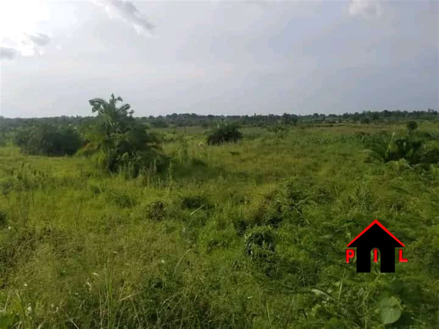 Agricultural Land for sale in Kakindo Hoima