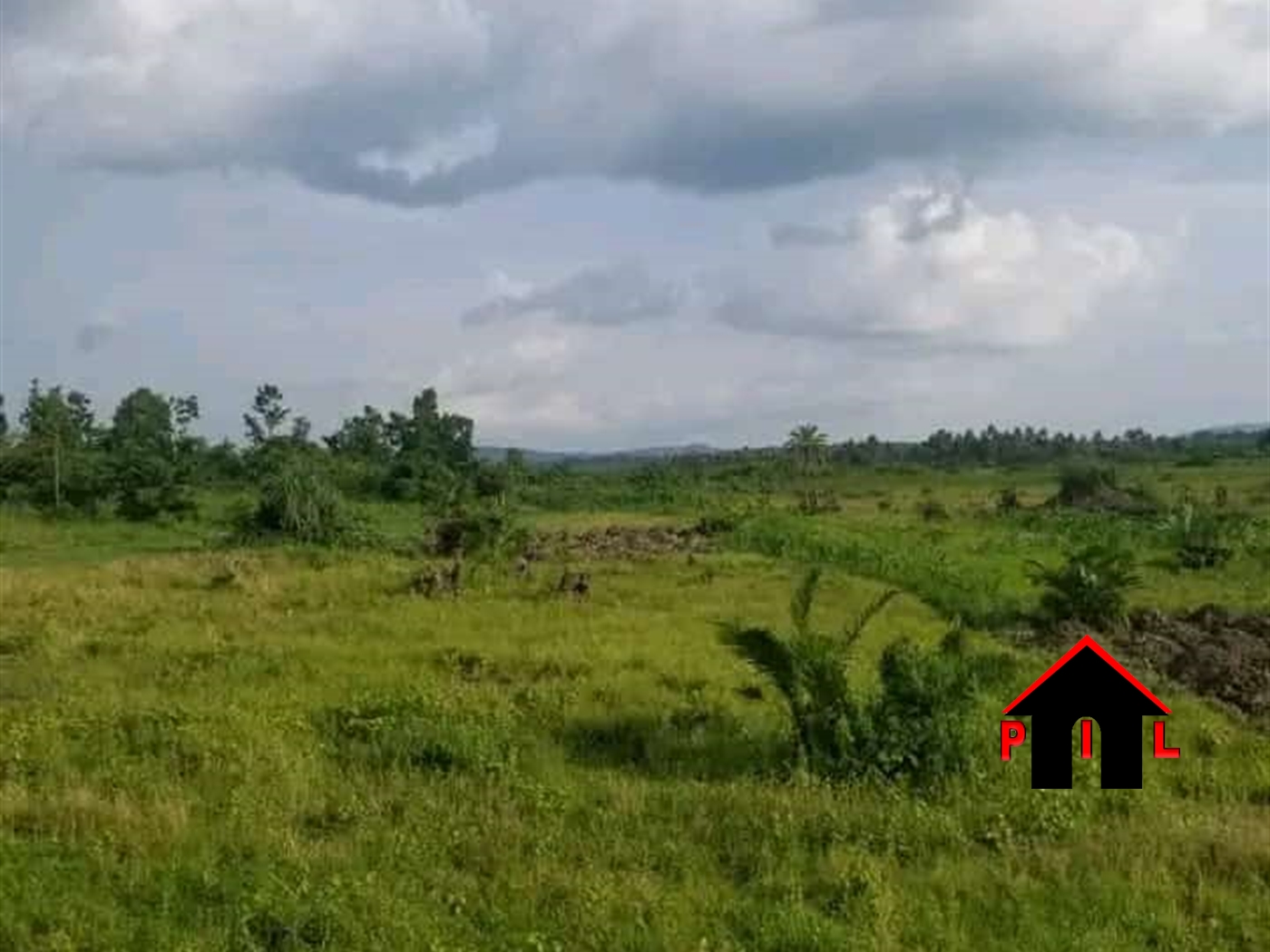 Agricultural Land for sale in Kakindo Hoima