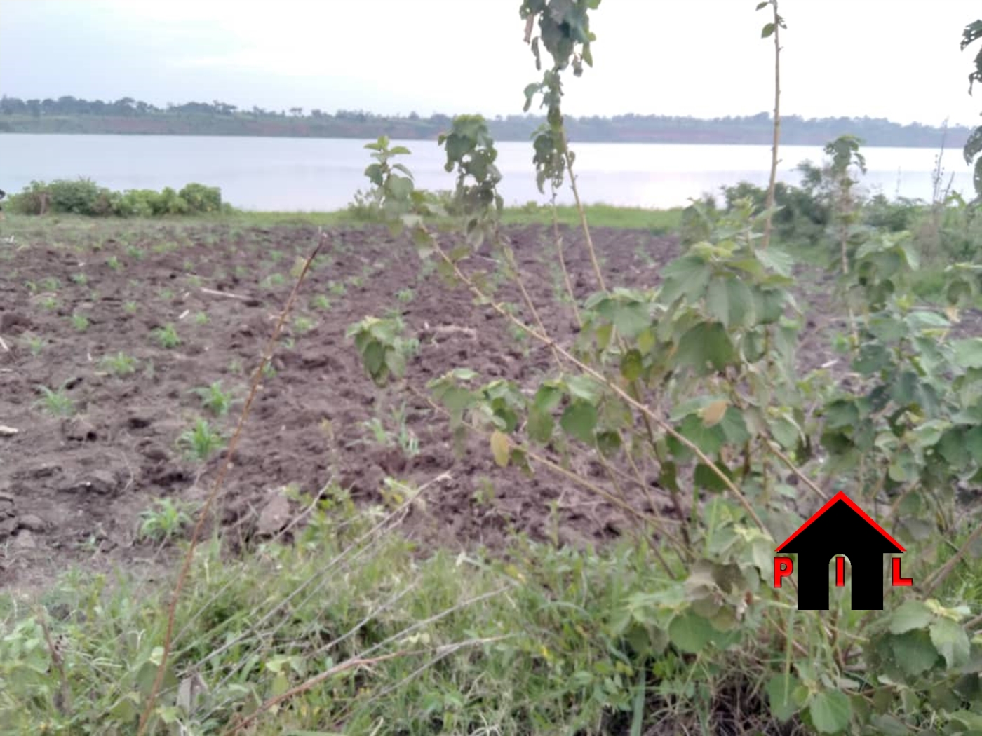 Agricultural Land for sale in Nazigo Kayunga