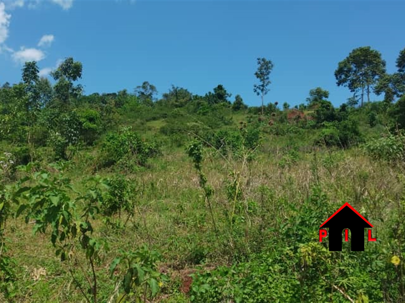 Agricultural Land for sale in Bubuubi Luwero