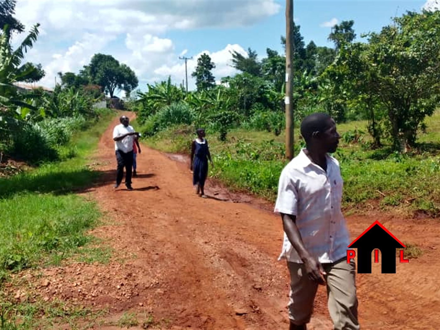 Agricultural Land for sale in Kikyuusa Luweero