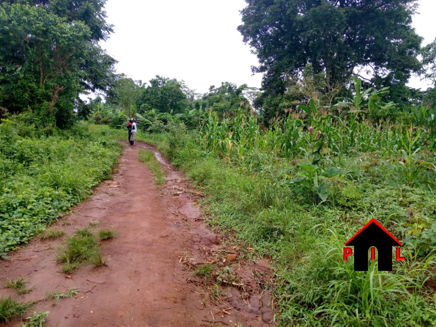 Agricultural Land for sale in Lunyolya Luweero