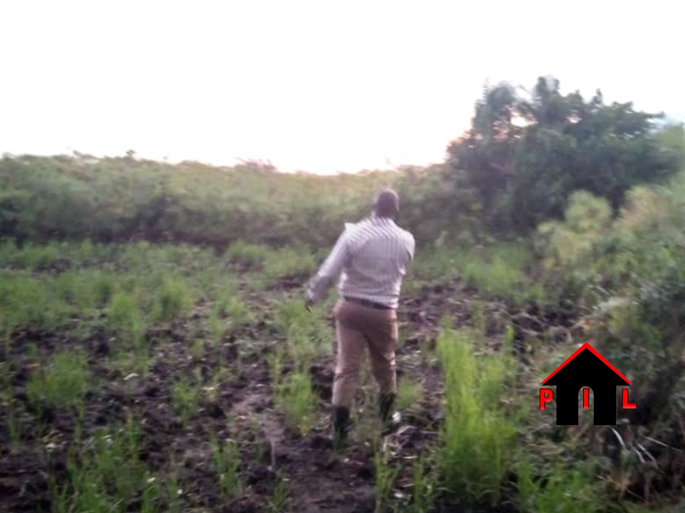 Agricultural Land for sale in Buzibwela Hoima