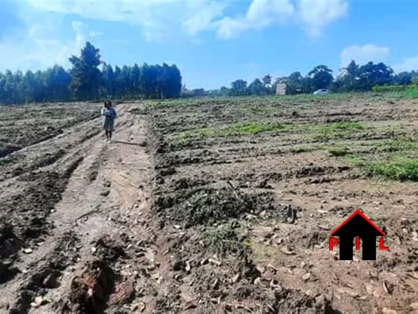 Residential Land for sale in Namayuba Wakiso