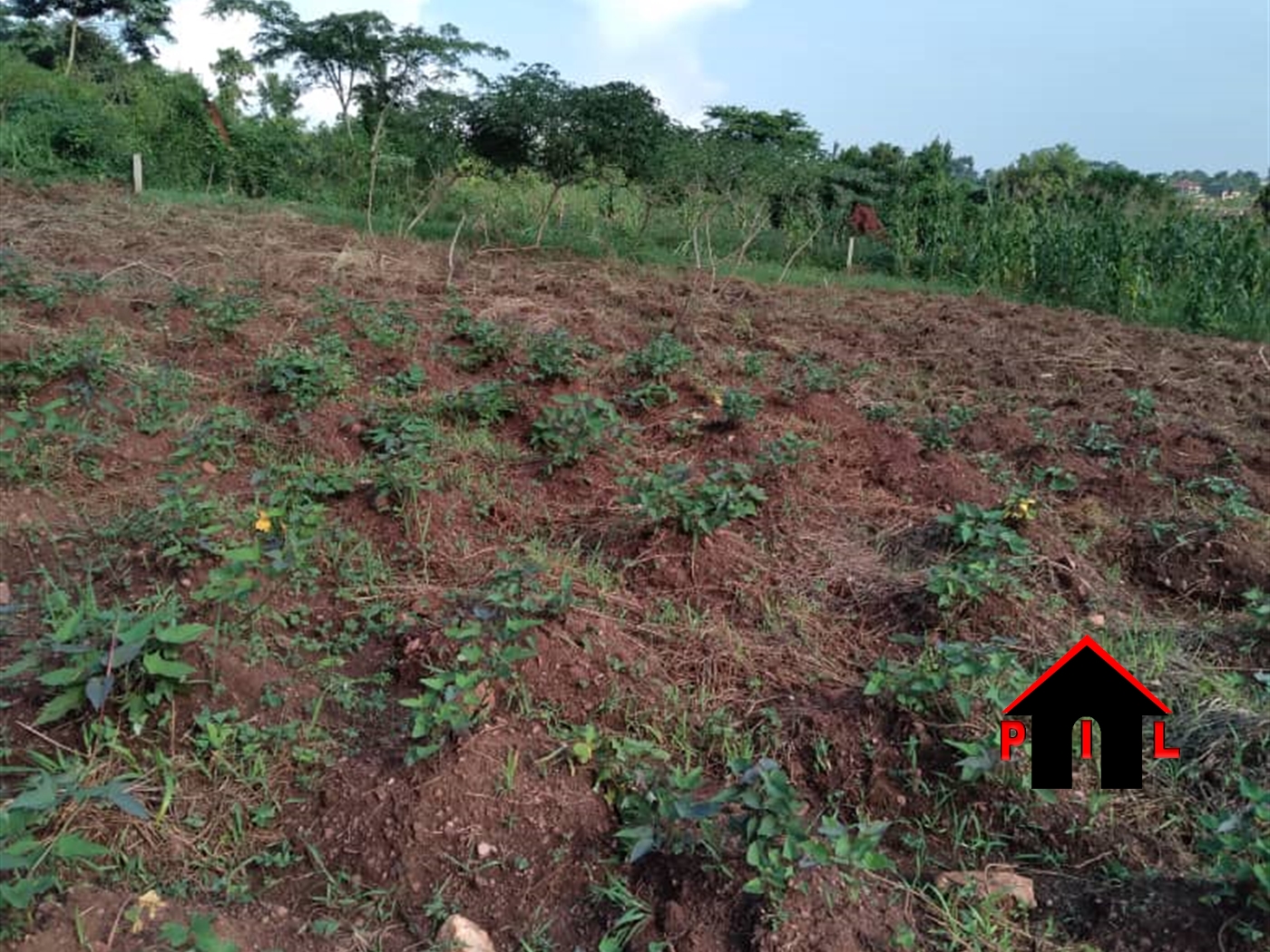 Residential Land for sale in Namayuba Wakiso