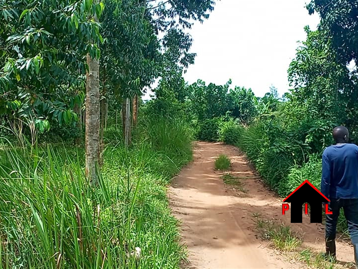 Agricultural Land for sale in Kammengo Mpigi